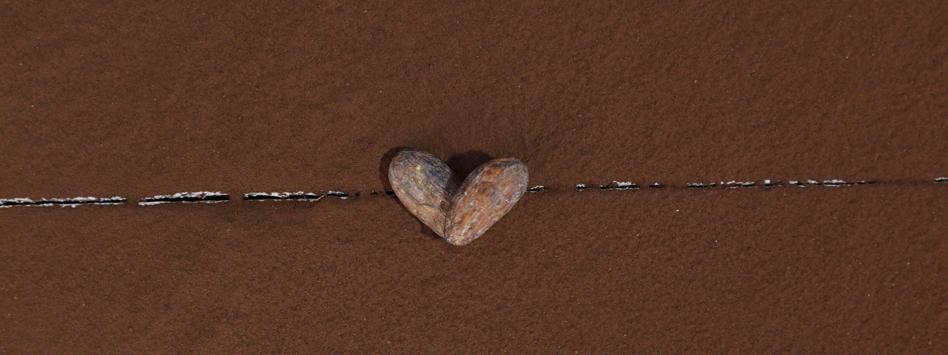 CACAO AMICO DEL CUORE