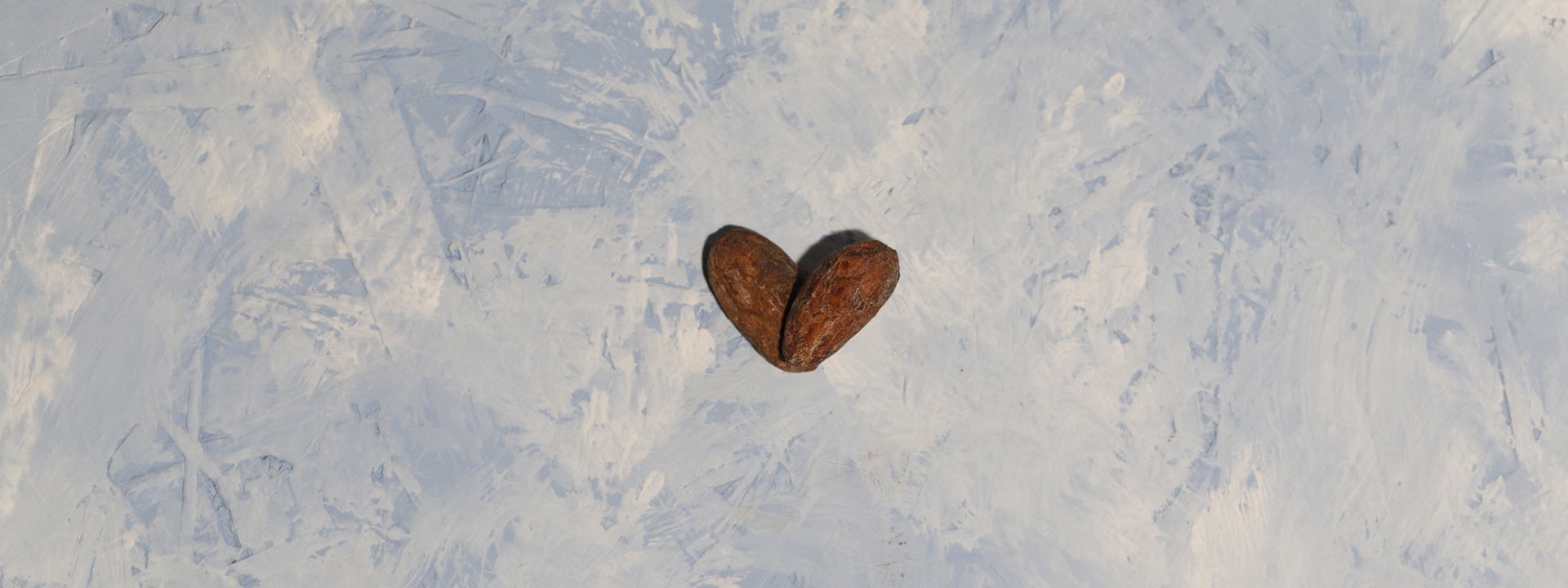 CACAO AMICO DEL CUORE